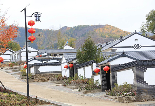 新農(nóng)村太陽(yáng)能路燈