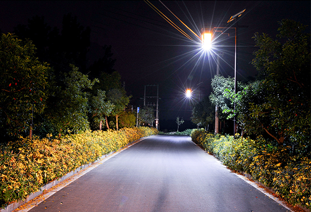 農(nóng)村道路太陽能庭院燈
