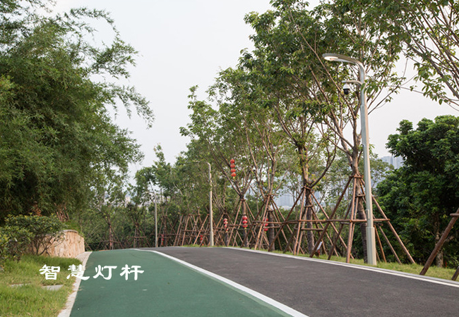 公園智慧燈桿
