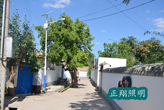 新農(nóng)村led太陽(yáng)能路燈廠家