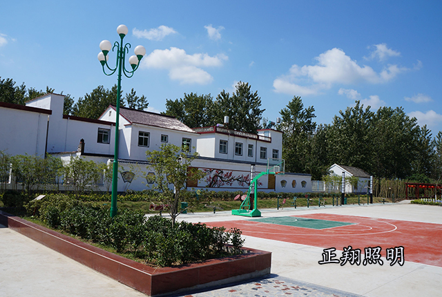 新農(nóng)村路燈亮化工程