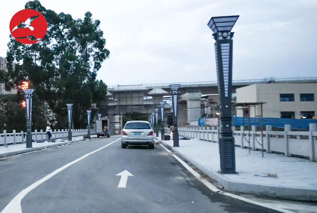 廣東清遠(yuǎn)市清城區(qū)富強路榕樹圍村LED景觀燈道路亮化工程案例