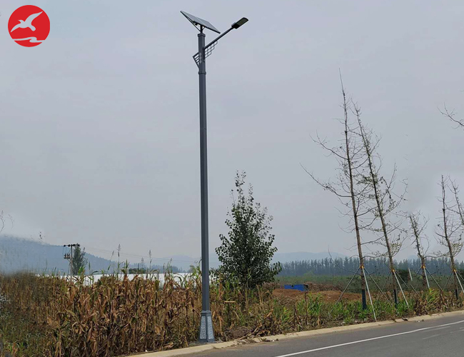 山東省小鎮(zhèn)特色太陽能路燈工程案例
