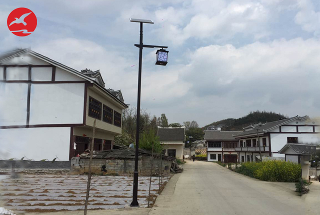 貴州省畢節(jié)市黔西縣林泉鎮(zhèn)特色太陽能路燈工程案例