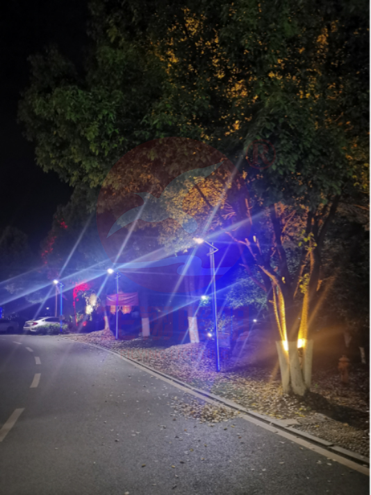 湖南led戶外路燈案例
