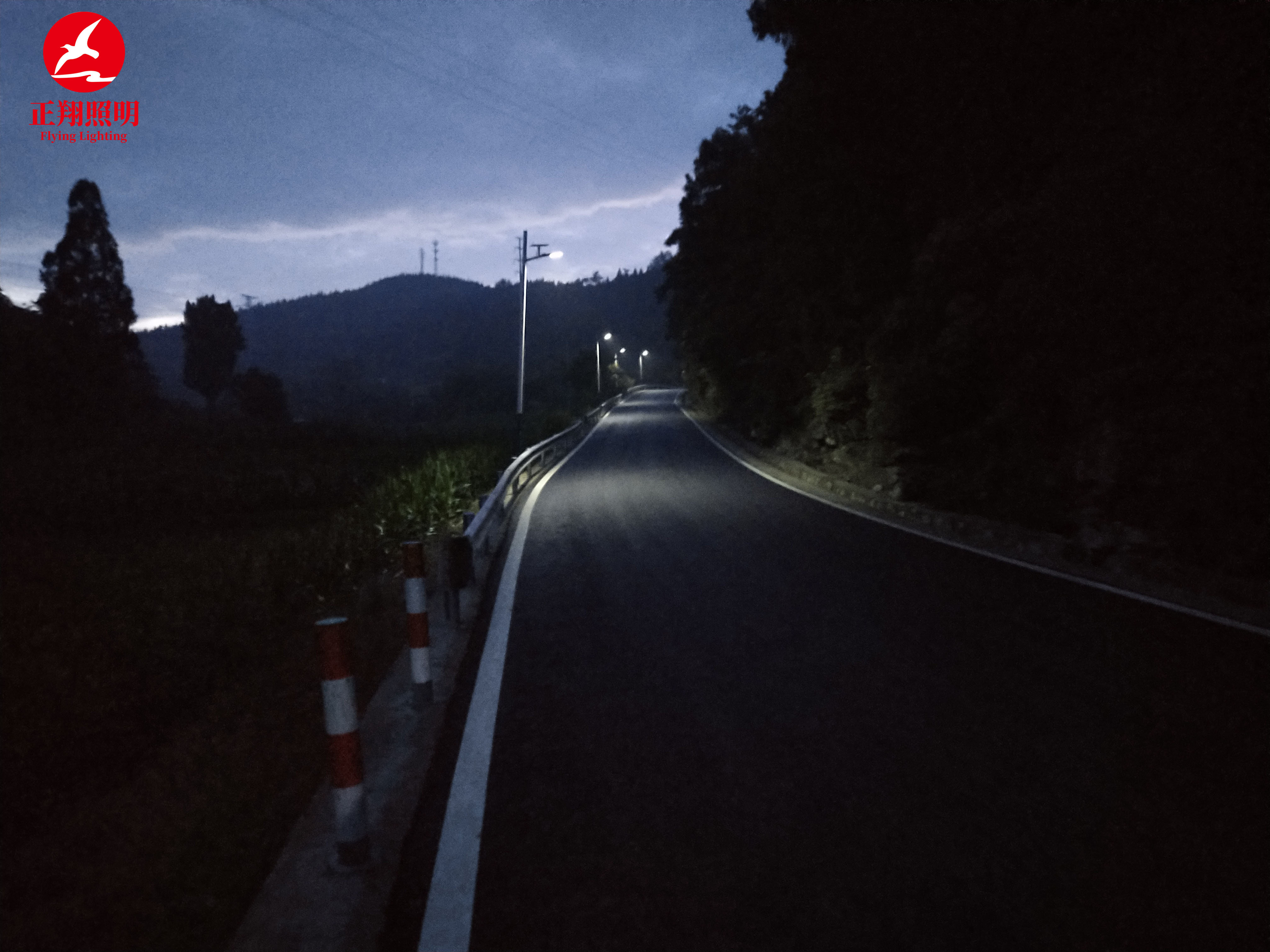 太陽能路燈工程案例