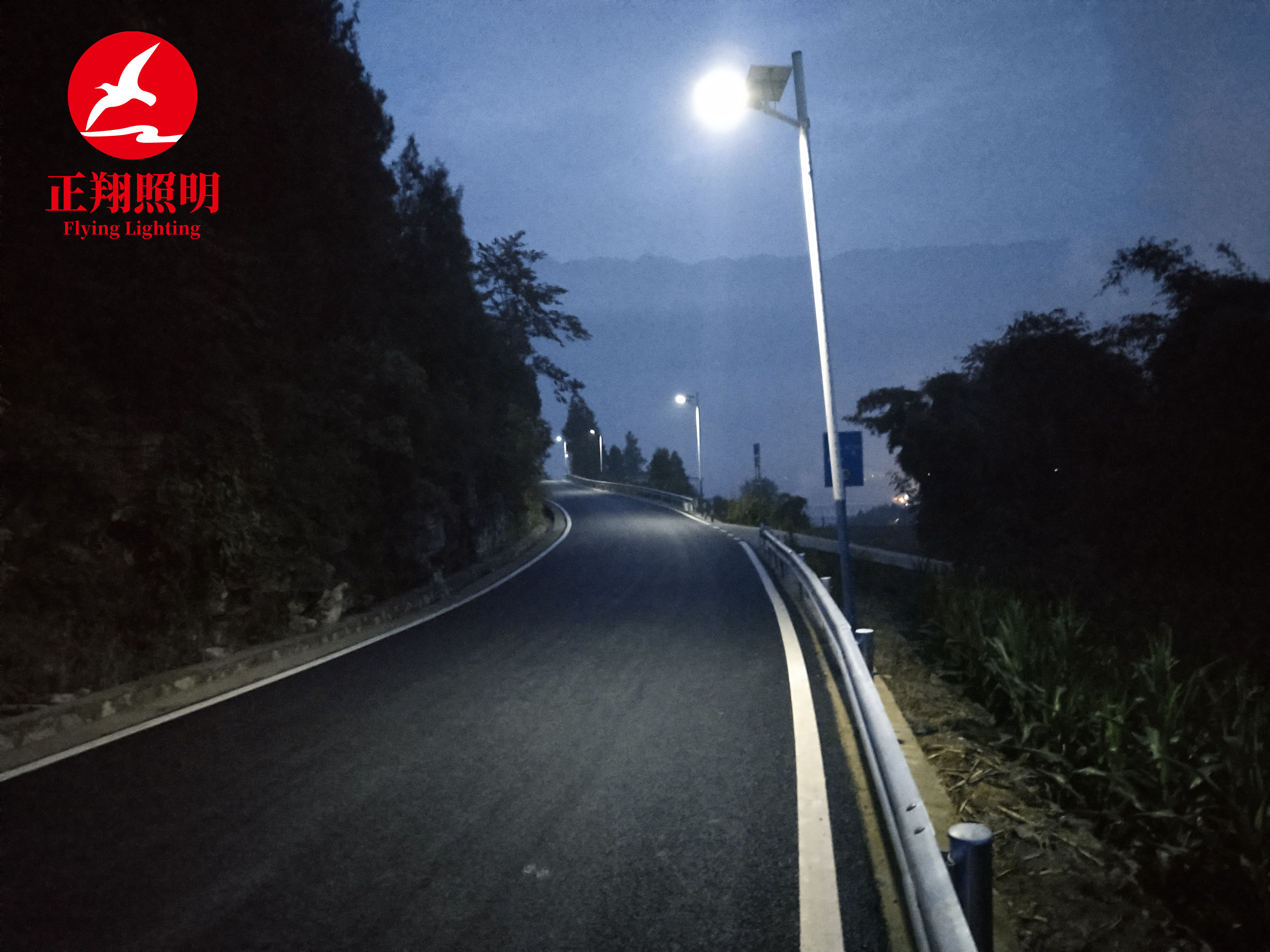 太陽能led戶外路燈工程案例