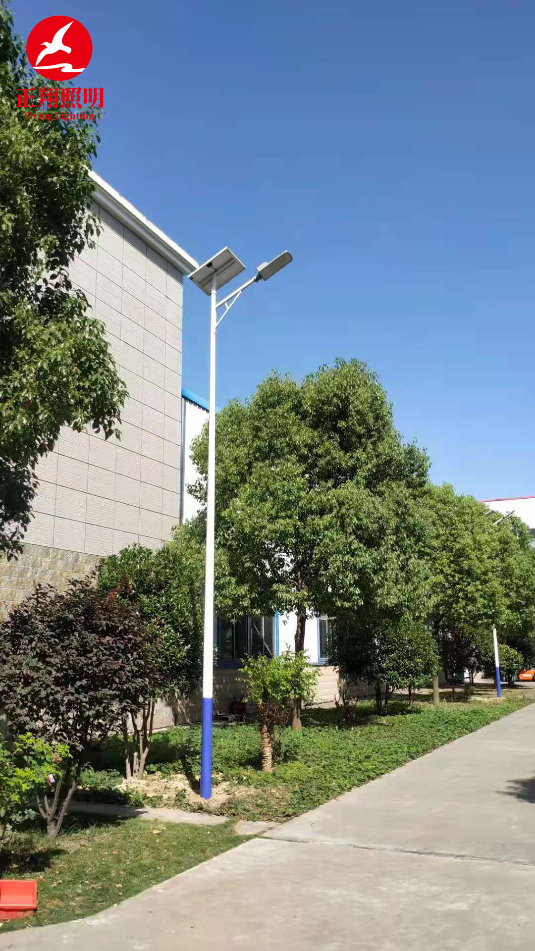 湖北太陽能路燈工程案例