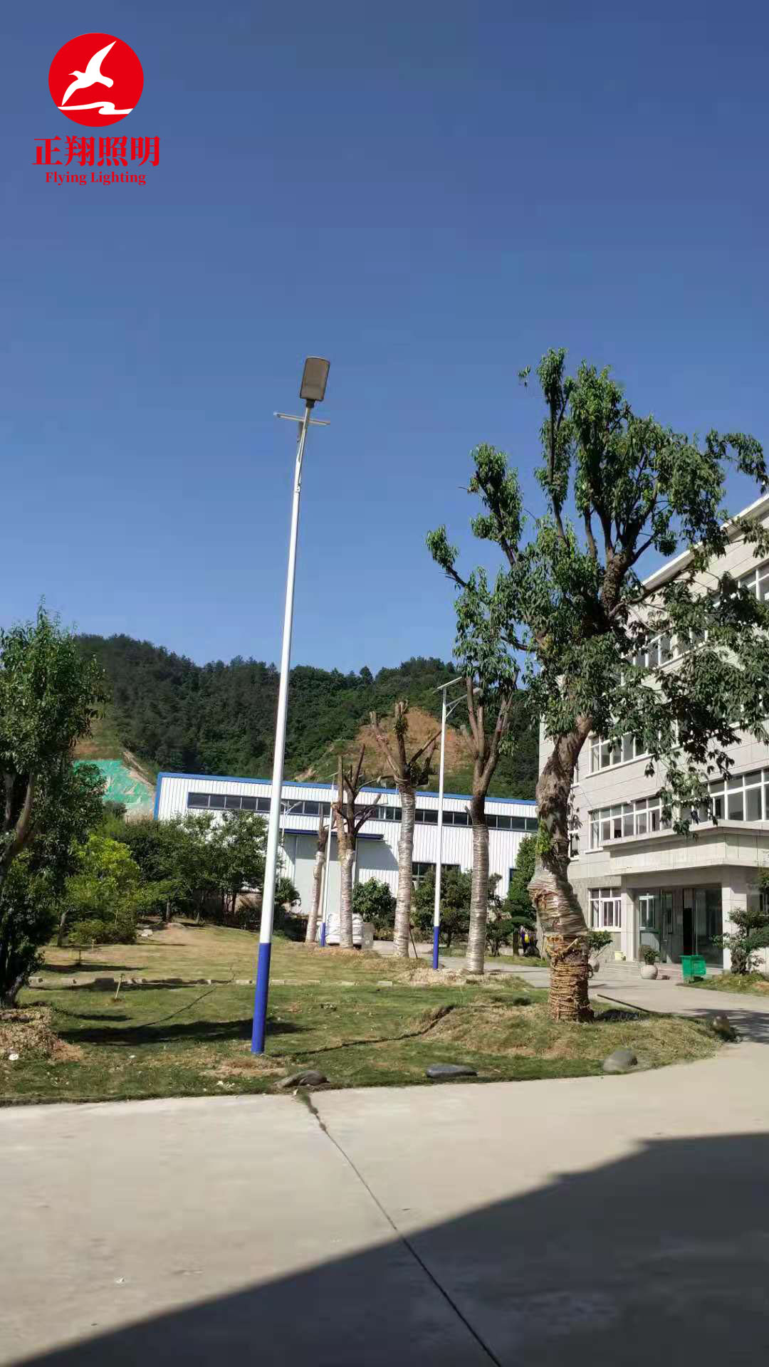 湖北太陽能路燈工程案例