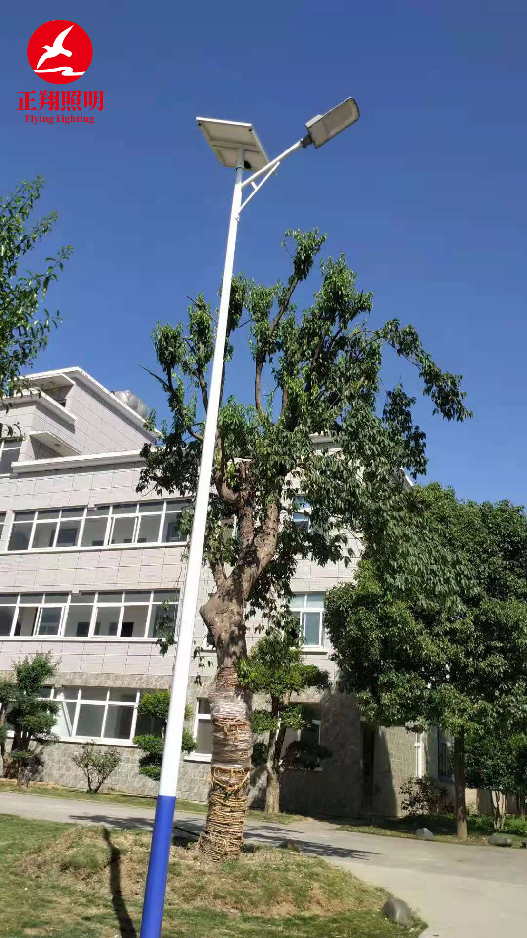 湖北太陽能路燈工程案例