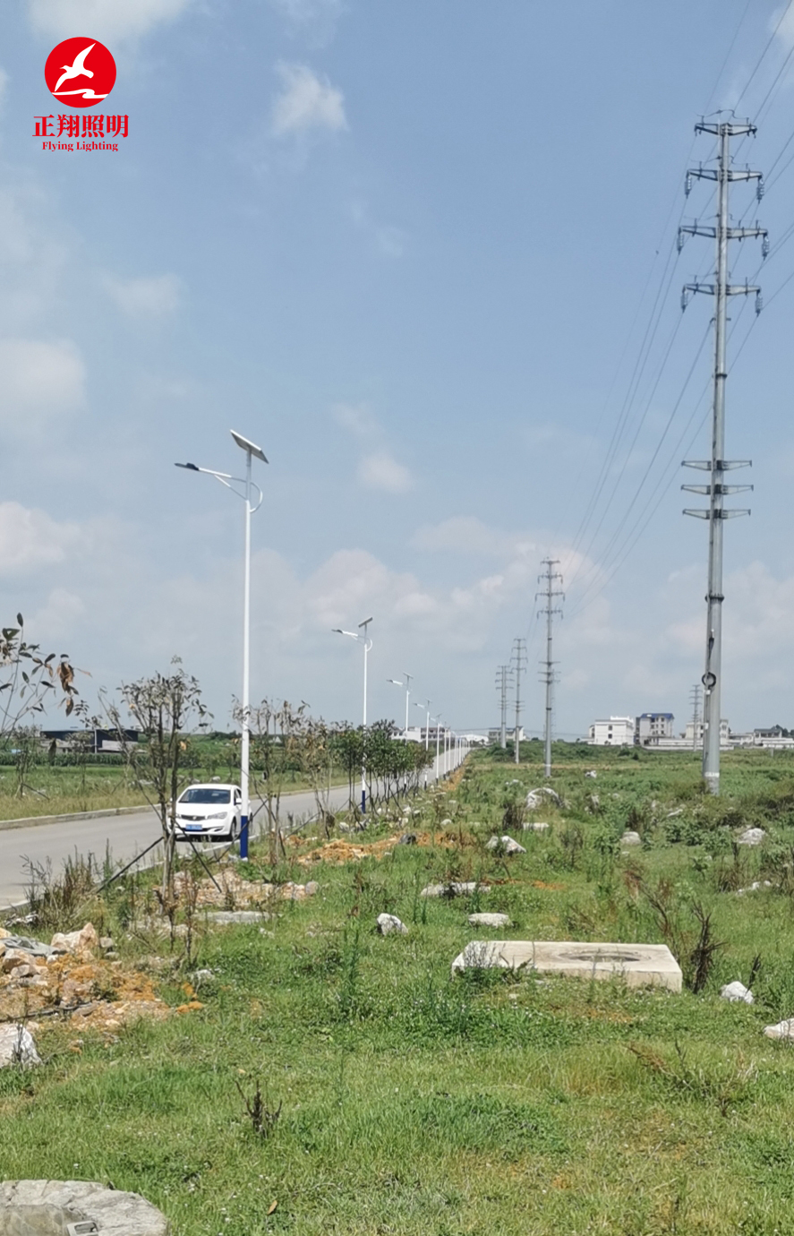 太陽能路燈工程案例