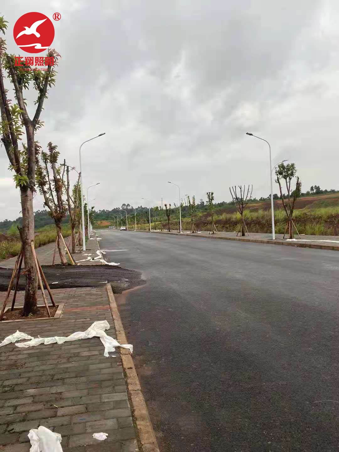 重慶潼南區(qū)市電路燈工程案例
