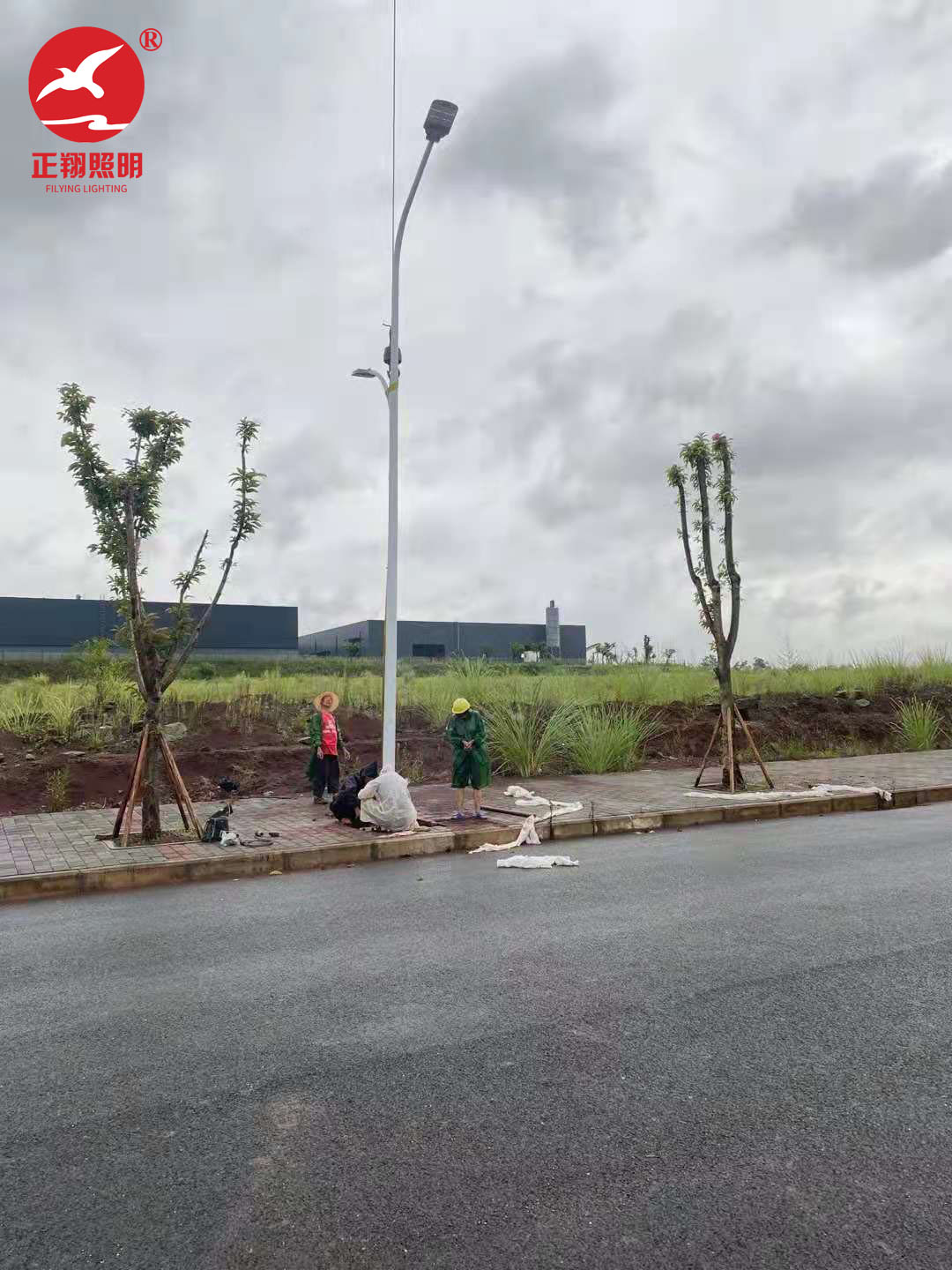重慶潼南區(qū)市電路燈工程案例