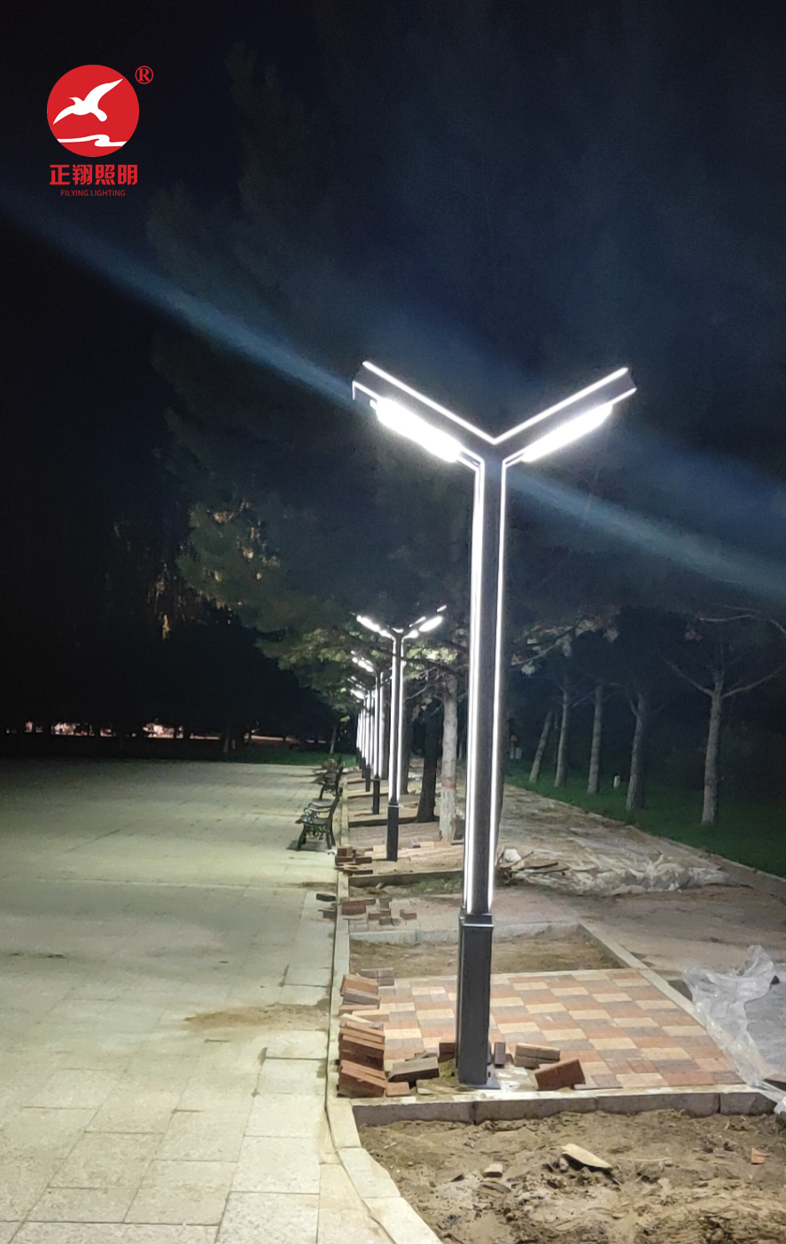 學校園區(qū)景觀燈工程案例