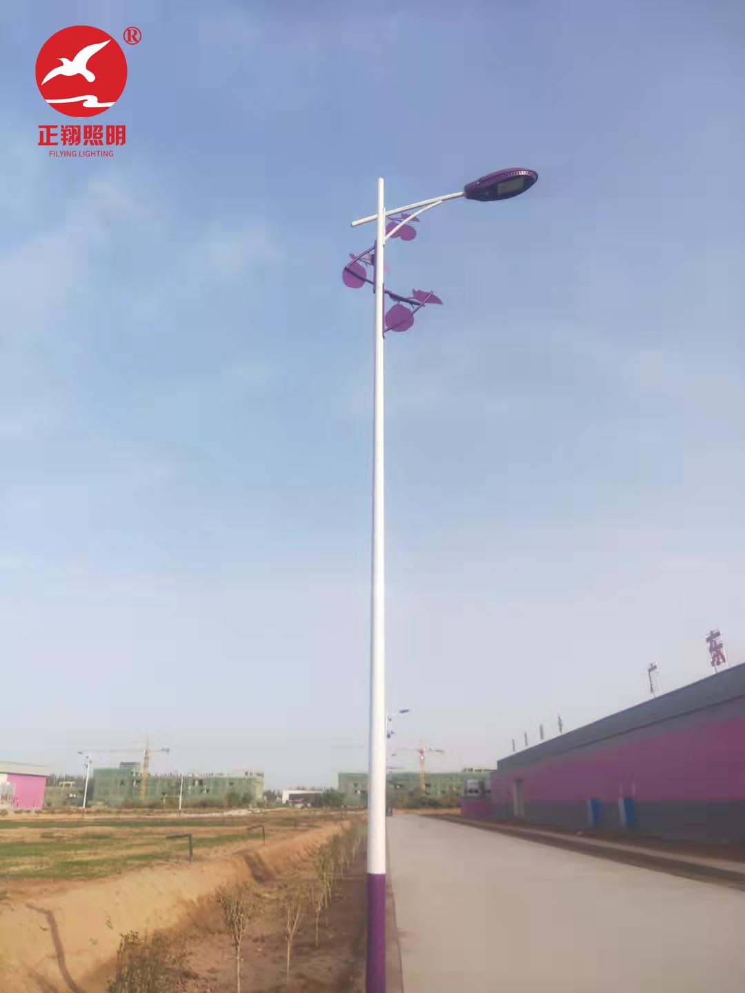鄉(xiāng)村太陽能路燈