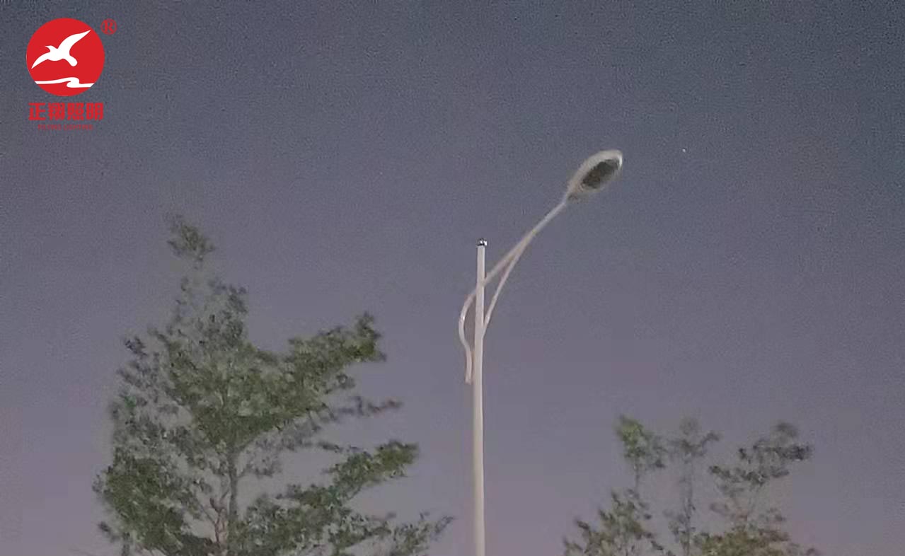 佛山南海中學(xué)高低臂市電路燈工程案例