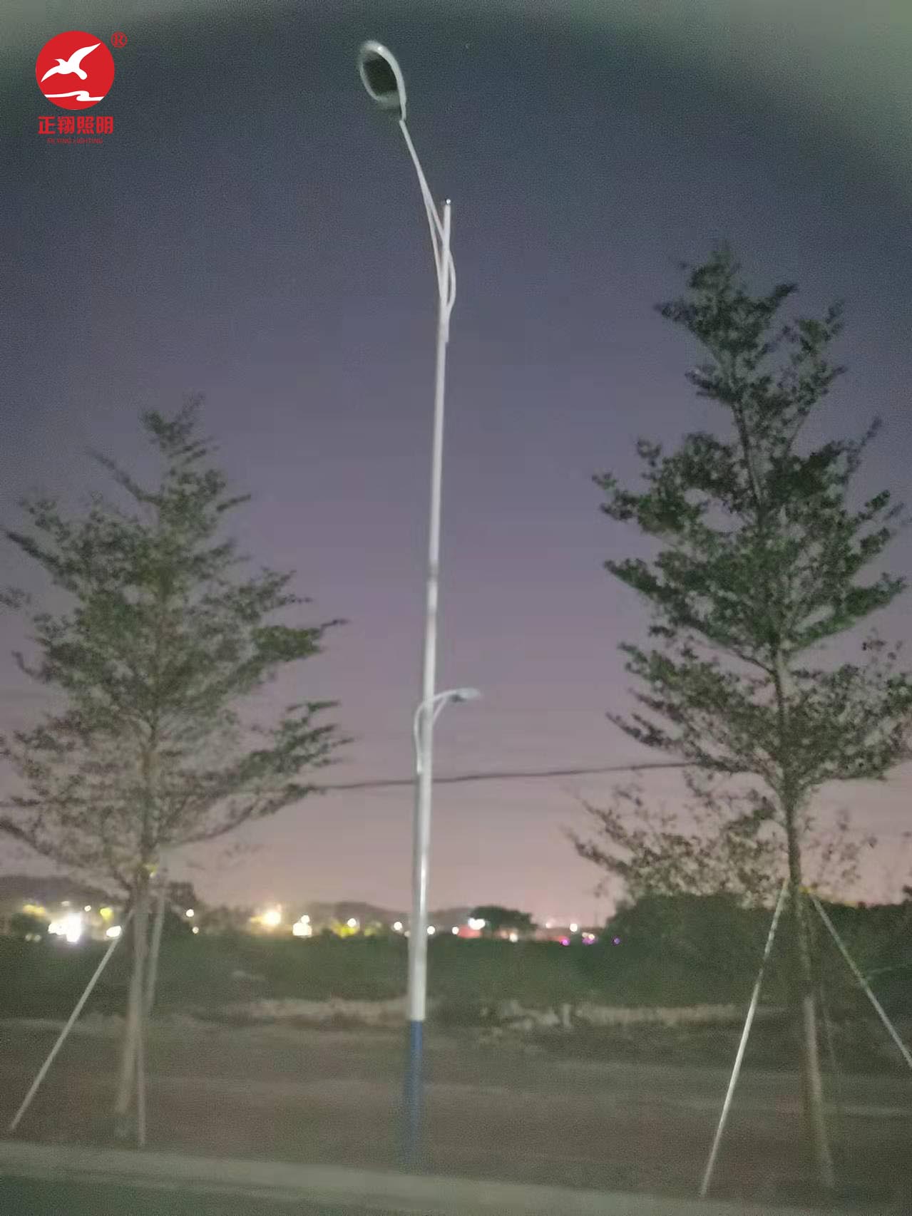 高低臂市電路燈工程案例