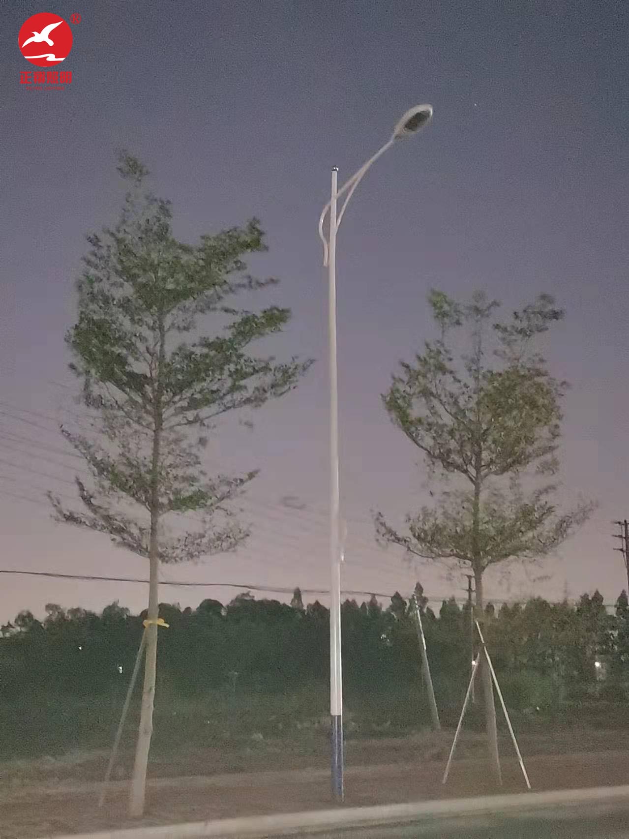 高低臂市電路燈工程案例