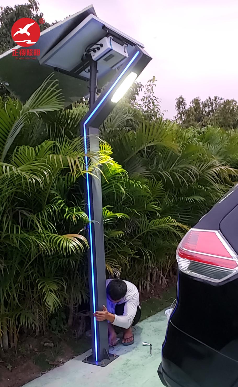 海南三亞太陽能景觀燈工程案例