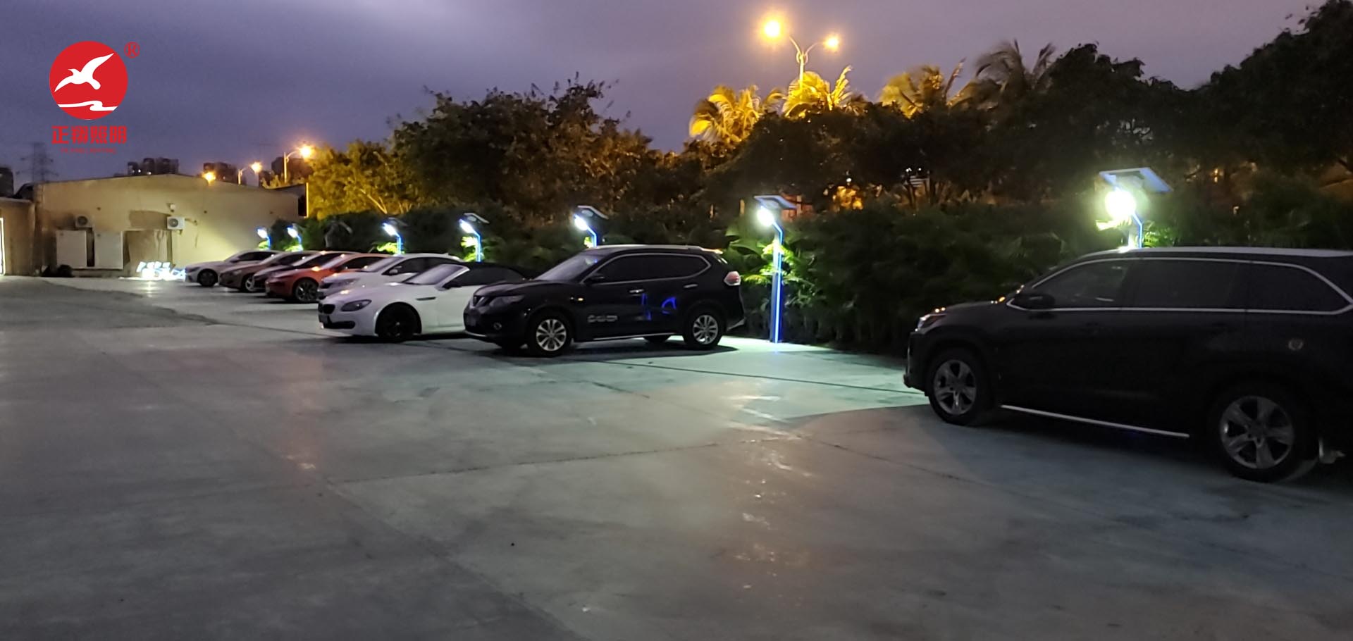 海南三亞太陽(yáng)能景觀燈工程案例