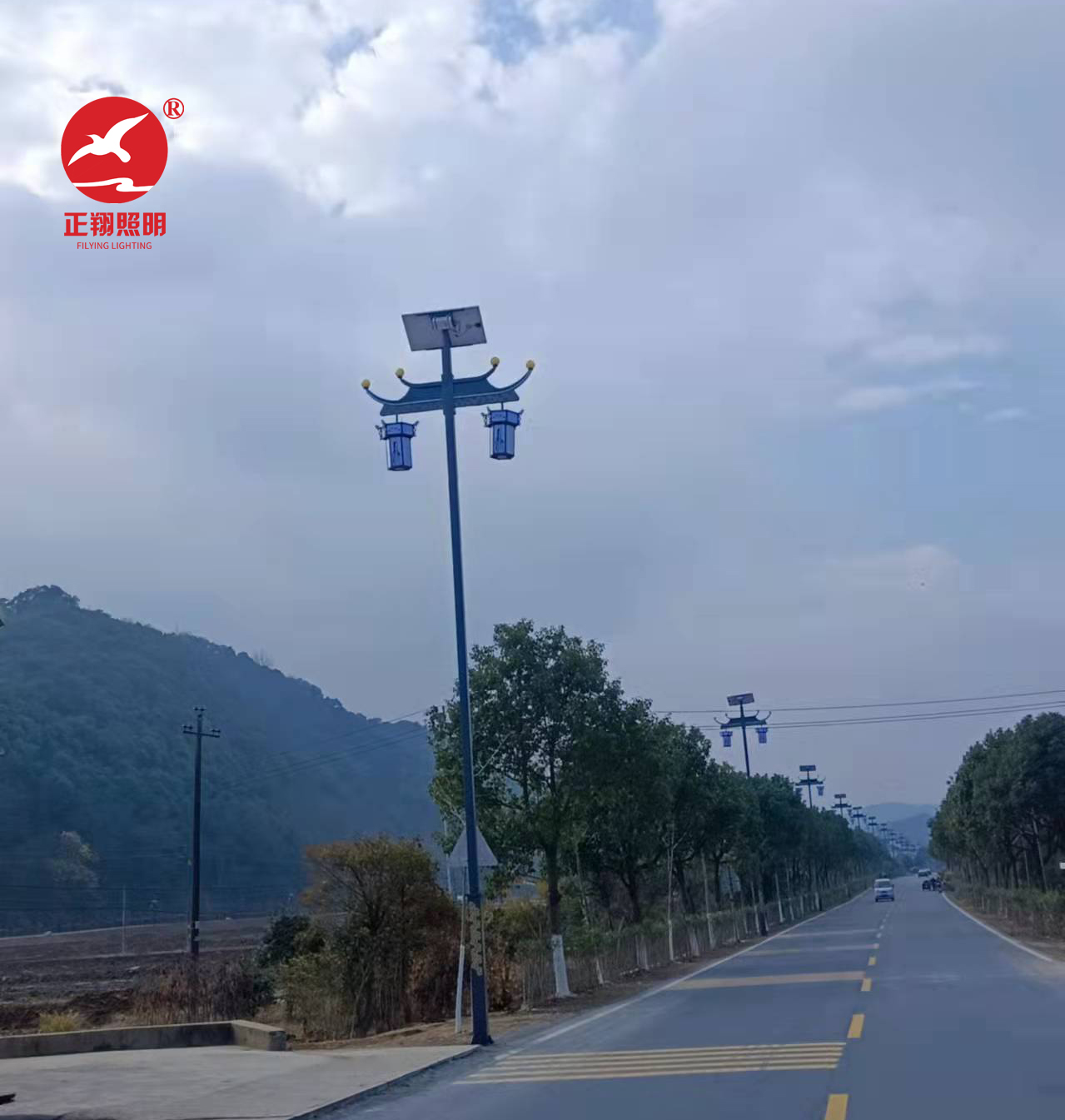 江西九江復古雙頭10米太陽能路燈工程案例