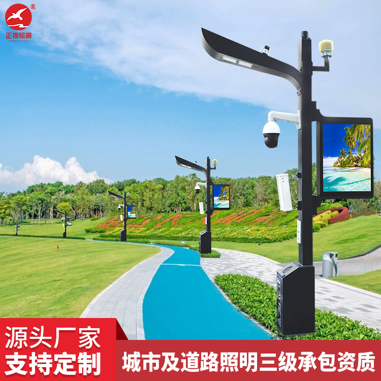 監(jiān)控一體路燈桿