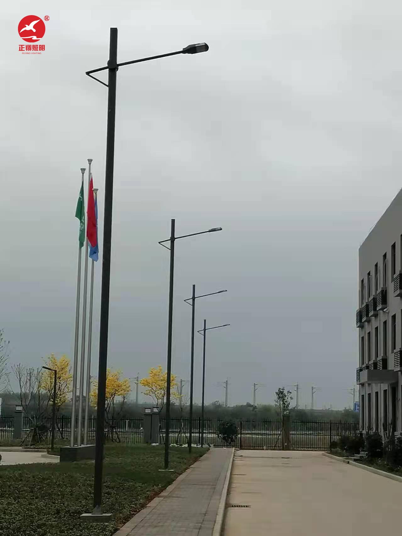 廣西單臂市電路燈工程案例