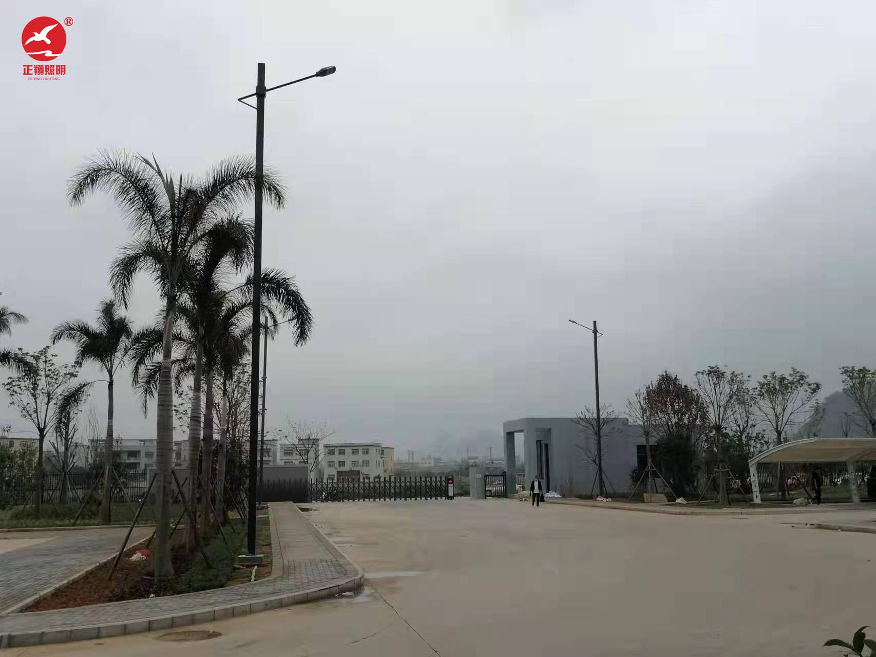 廣西單臂市電路燈工程案例