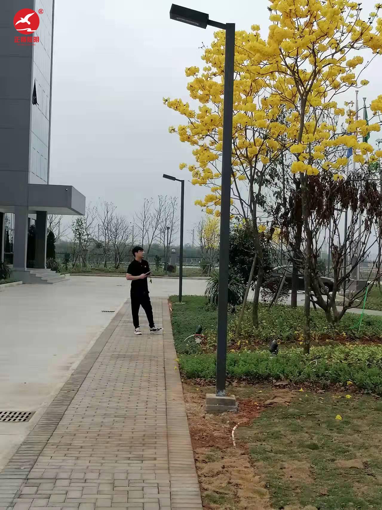 廣西單臂市電路燈工程案例