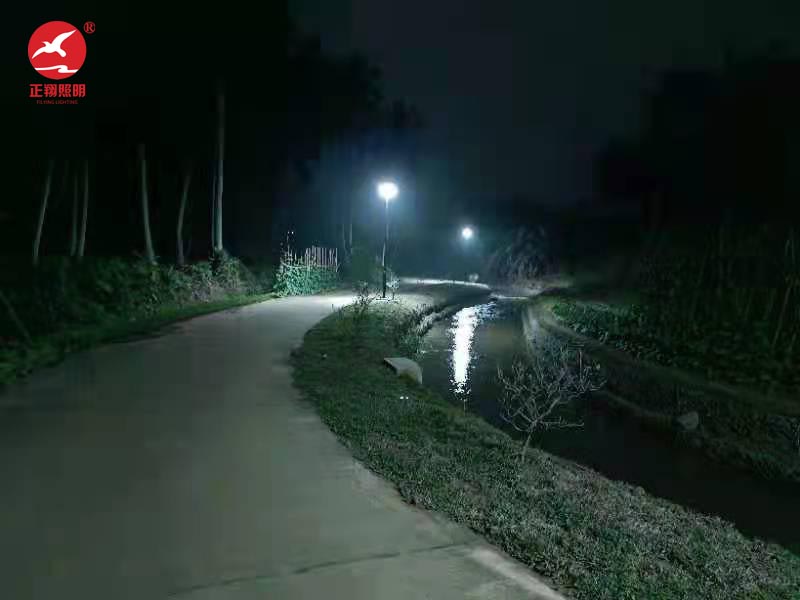 海南庭院燈工程亮燈案例