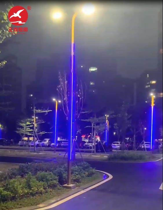 江門蓬江區(qū)濱海大道江門港口還石處路燈項(xiàng)目