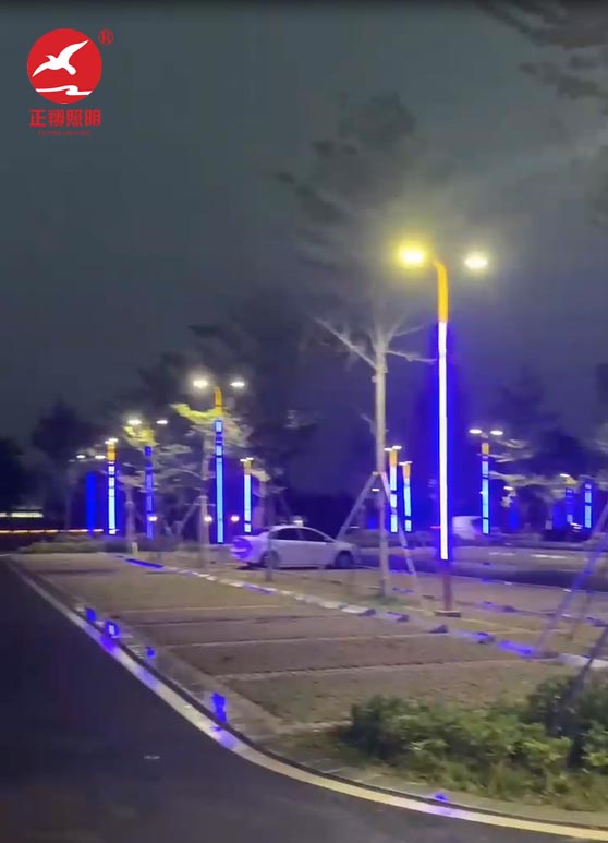 江門蓬江區(qū)濱海大道江門港口還石處路燈項(xiàng)目