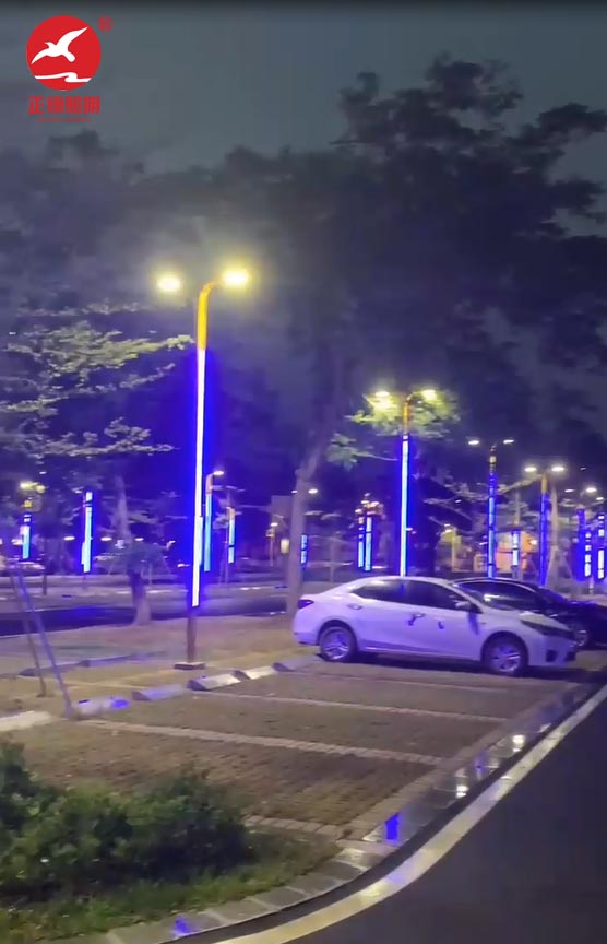 江門蓬江區(qū)濱海大道江門港口還石處路燈項(xiàng)目