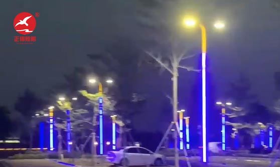 江門蓬江區(qū)濱海大道江門港口還石處路燈項目