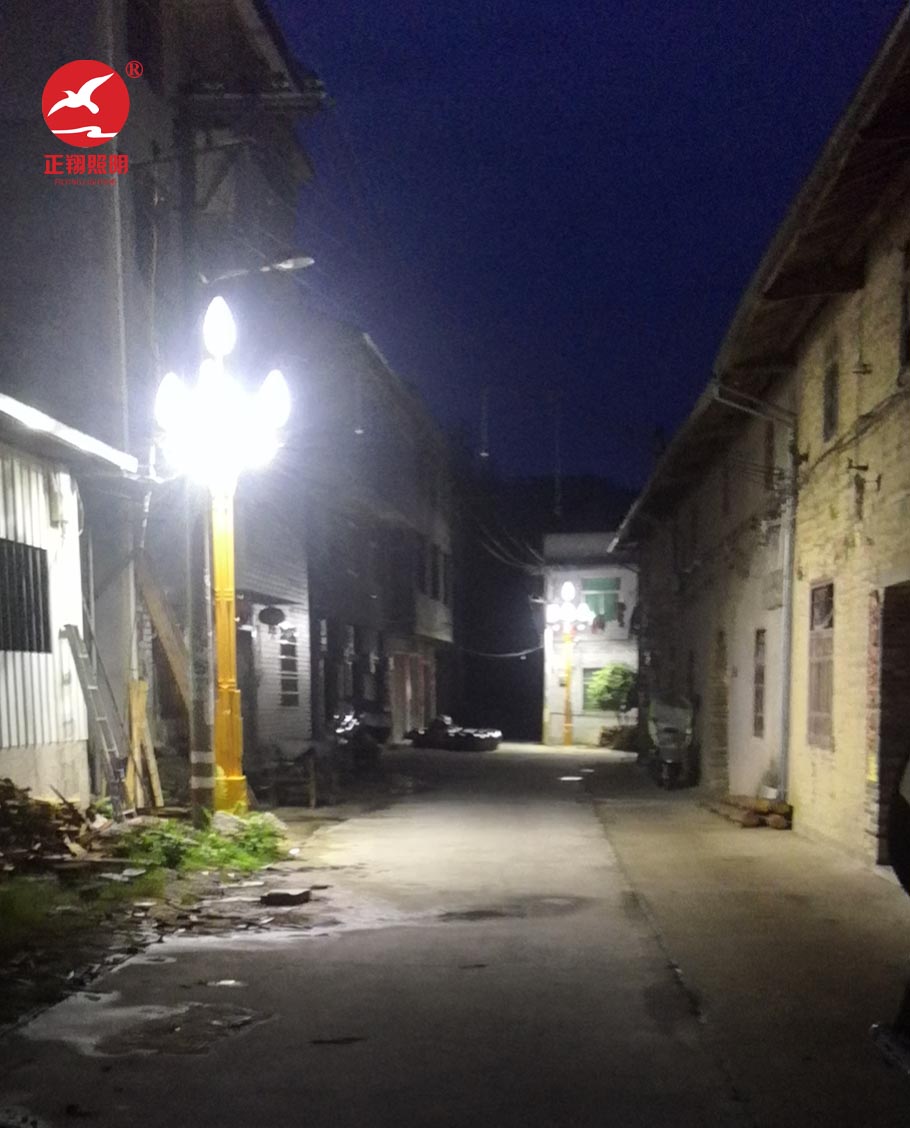 福建省寧德市古田縣玉蘭燈工程案例