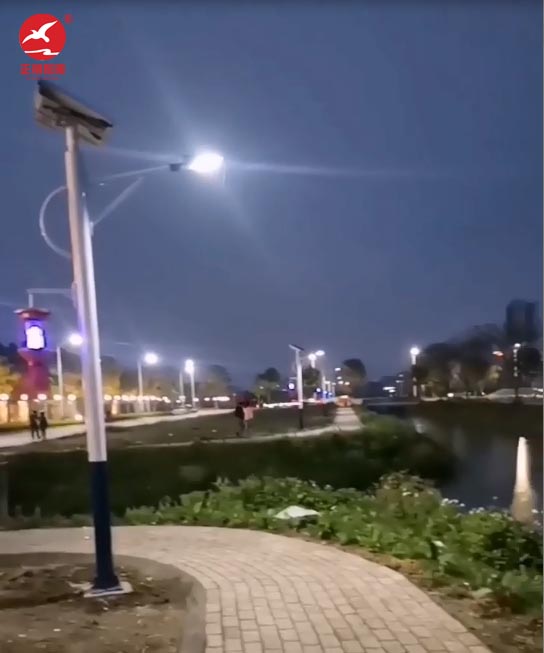 汕頭太陽能滅蚊路燈工程案例