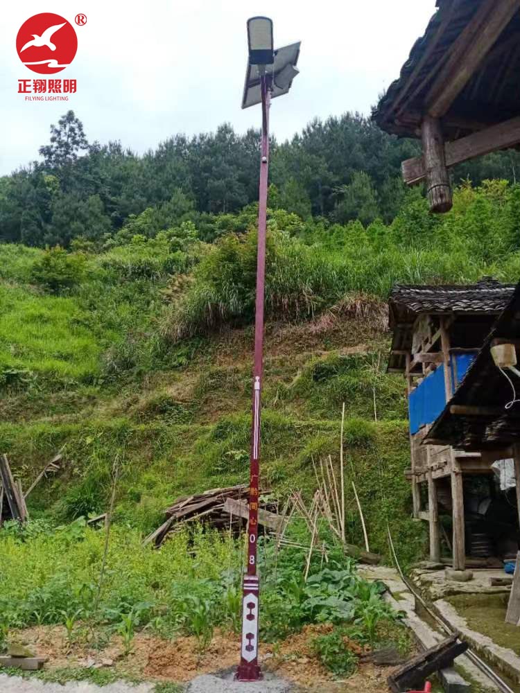 民族風太陽能路燈工程案例