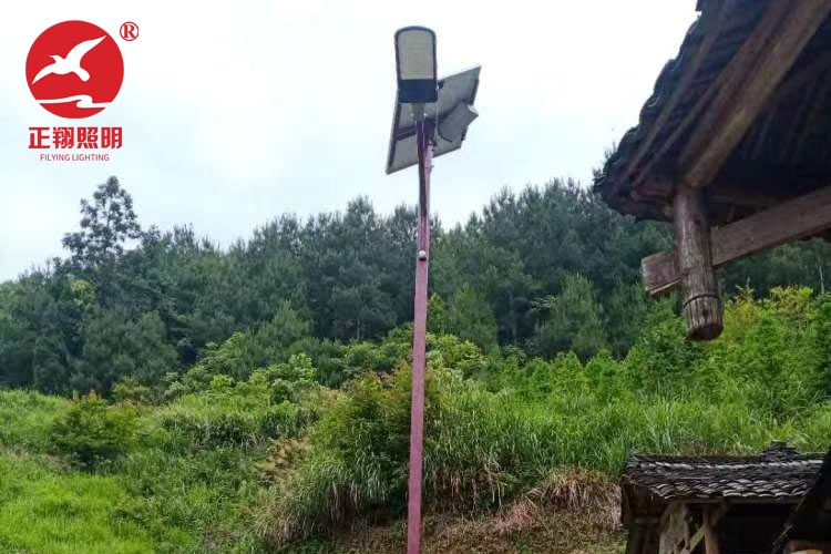 貴州民族風太陽能路燈案例