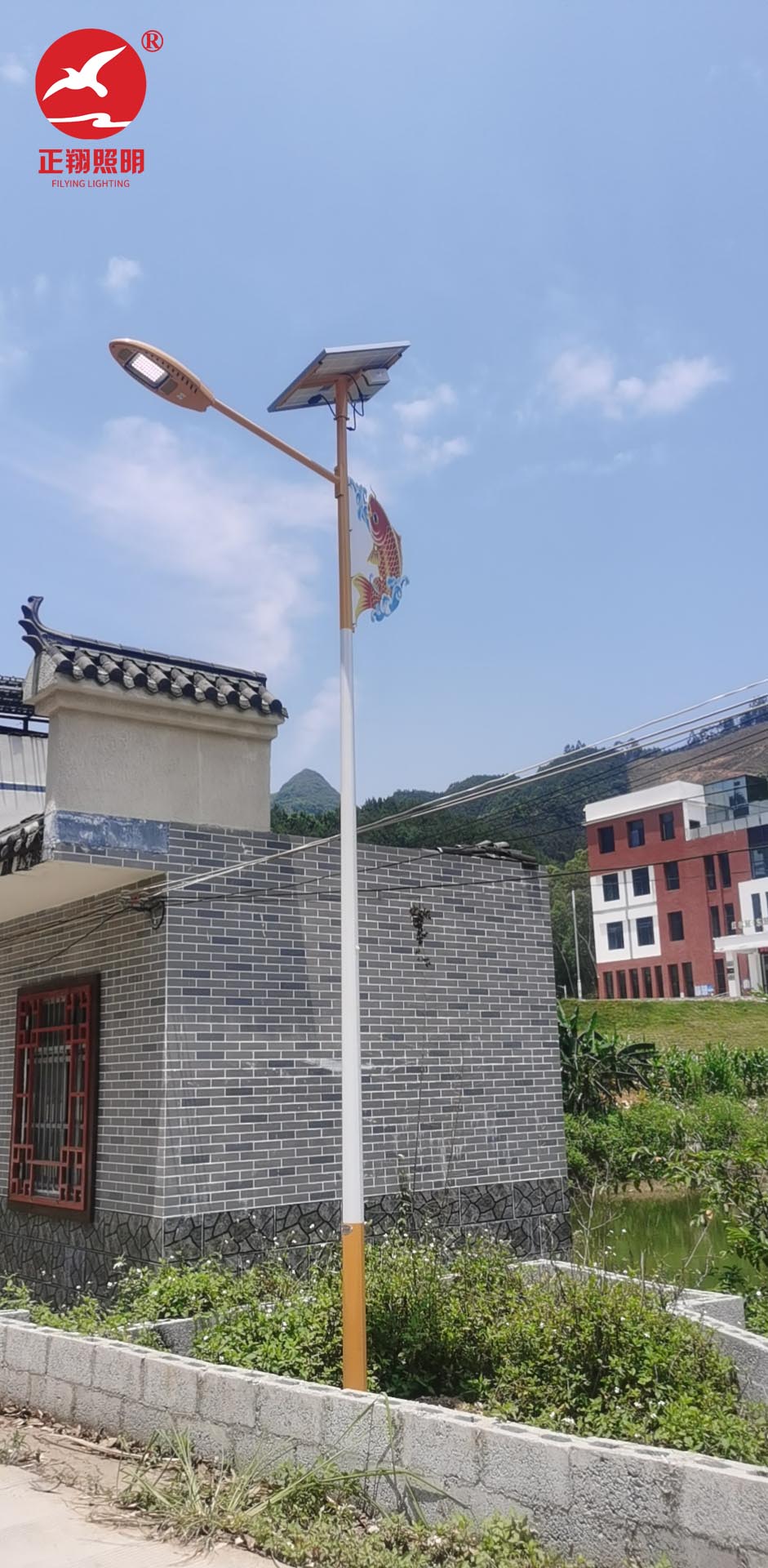 太陽能路燈工程案例