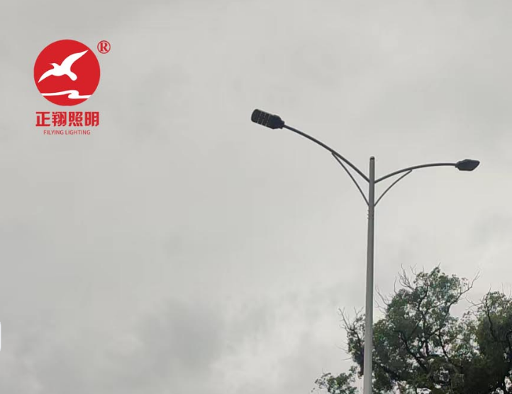 深圳雙臂市電路燈工程案例