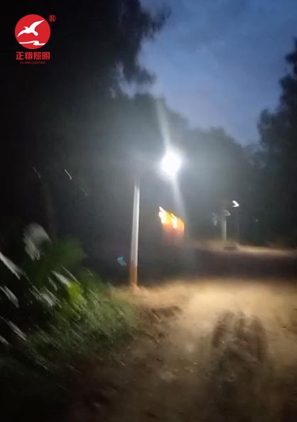 太陽(yáng)能路燈工程案例