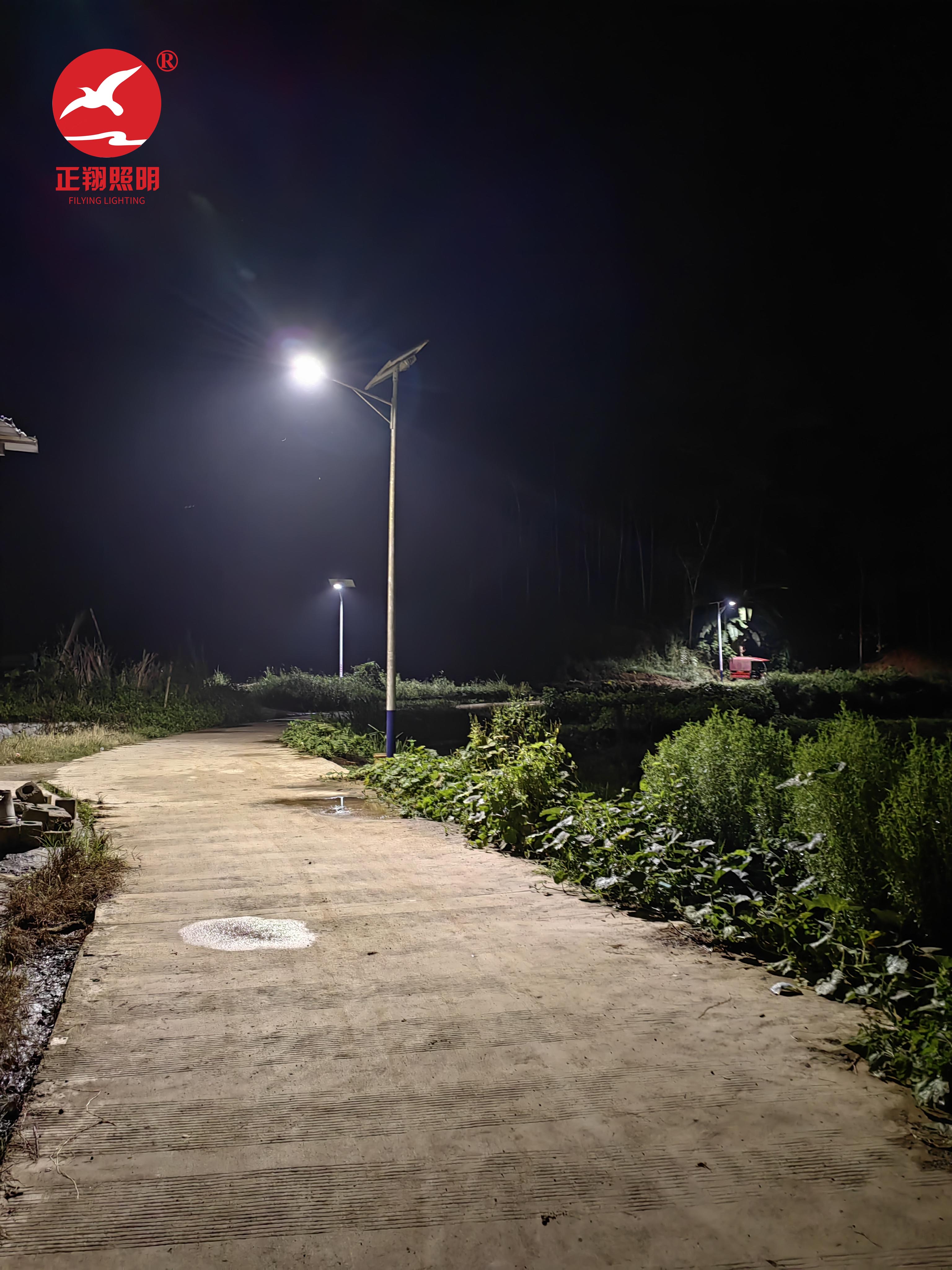 廣西平果市太陽能路燈項目案例