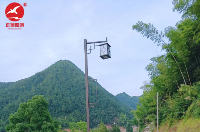江西上饒望仙谷景區(qū)庭院燈工程案例