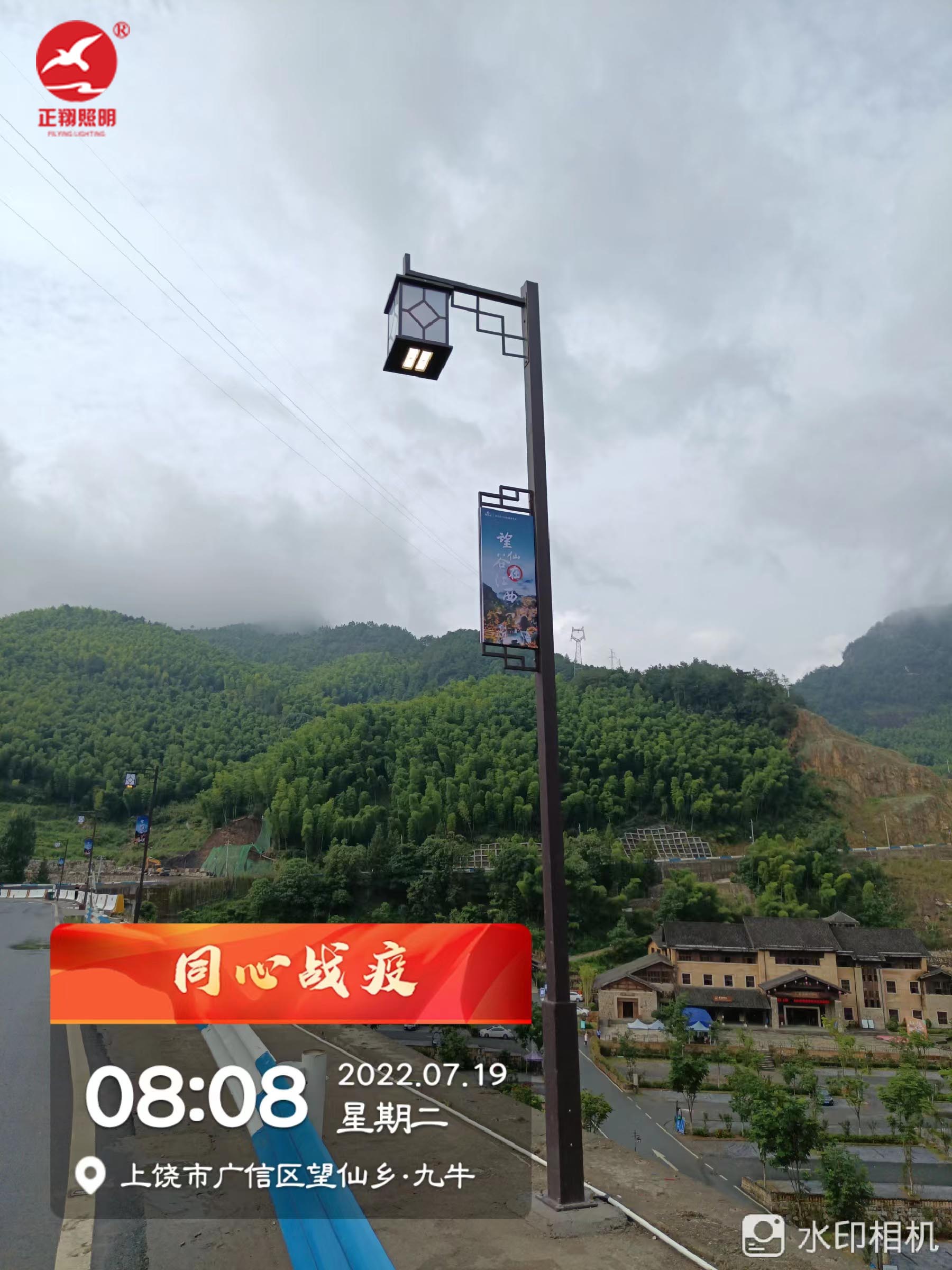 江西上饒望仙谷景區(qū)庭院燈工程案例