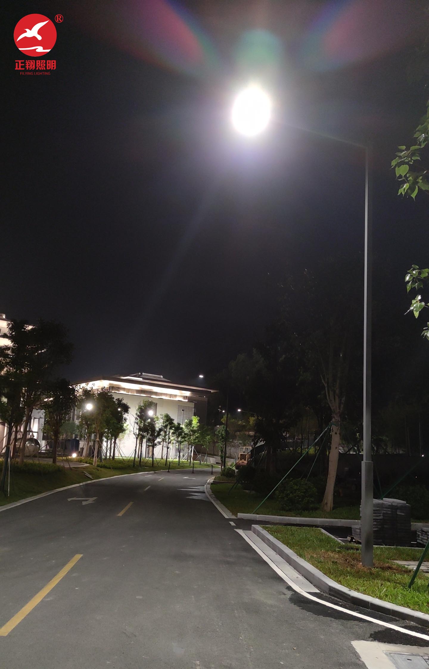 廣州從化碧水新村市電單臂led路燈案例
