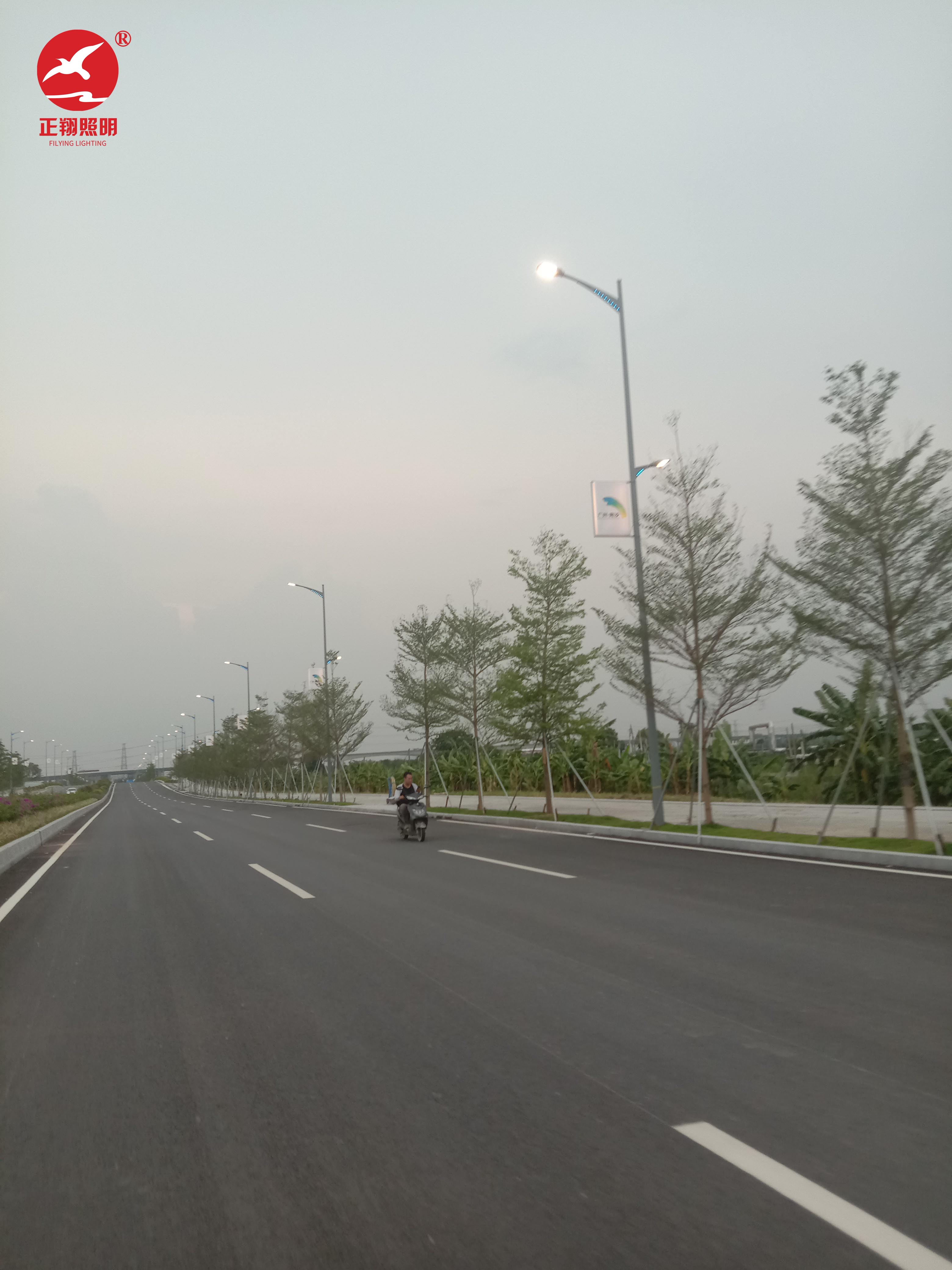廣西南沙慶盛廣西南沙慶盛樞紐高低臂智慧路燈桿案例