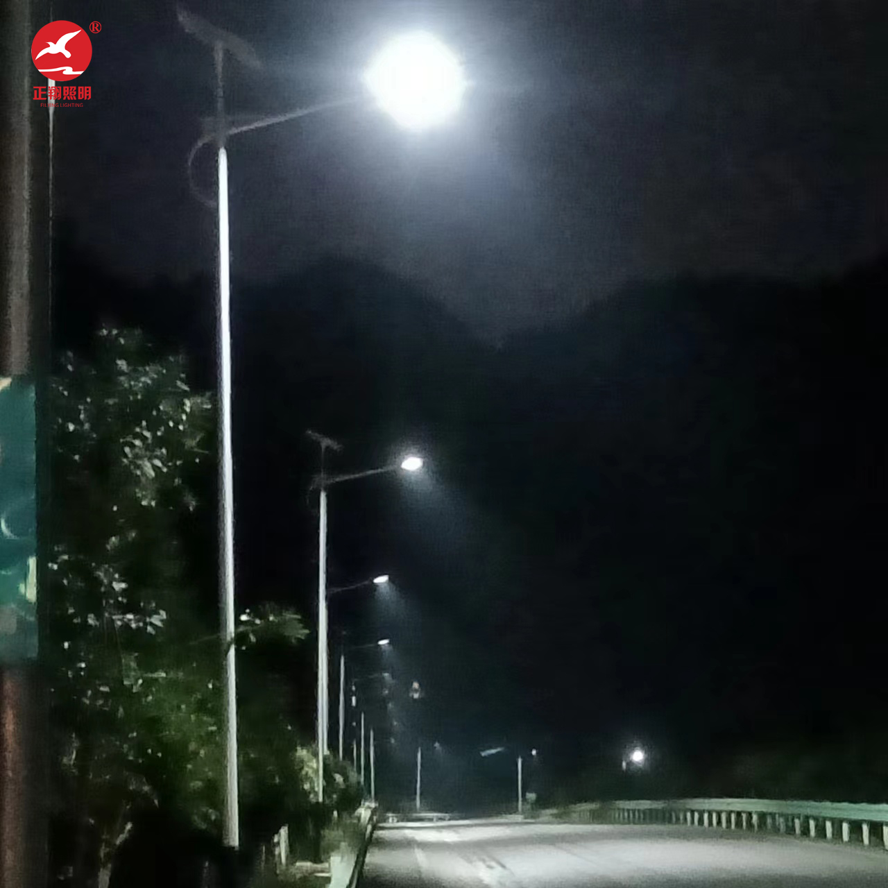 貴州余慶縣太陽能路燈項目