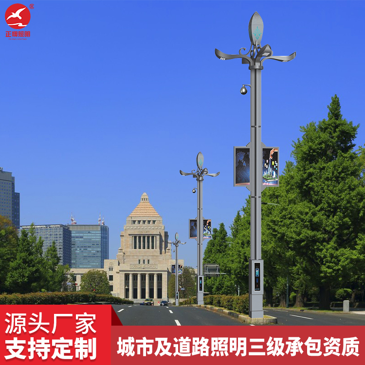 定制智慧路燈