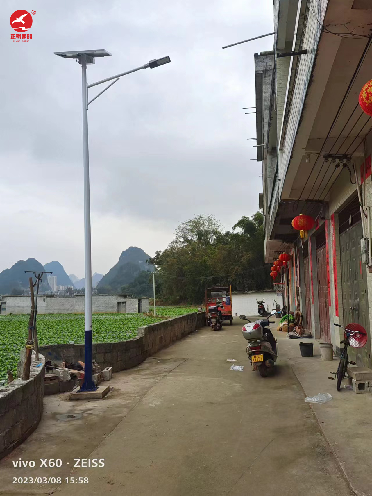 廣西靖西市太陽能路燈項目案例
