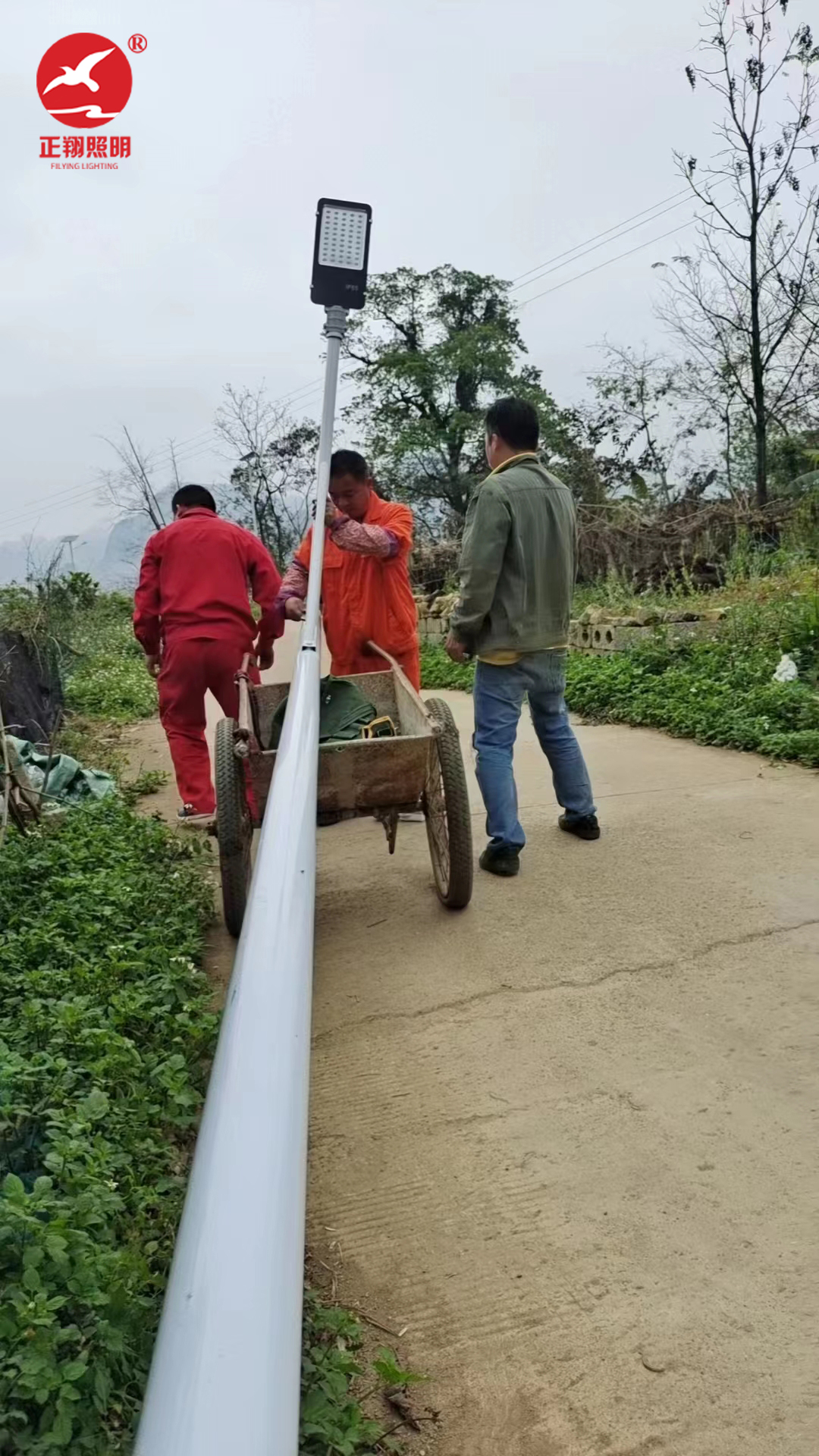 廣西靖西市太陽能路燈項目案例